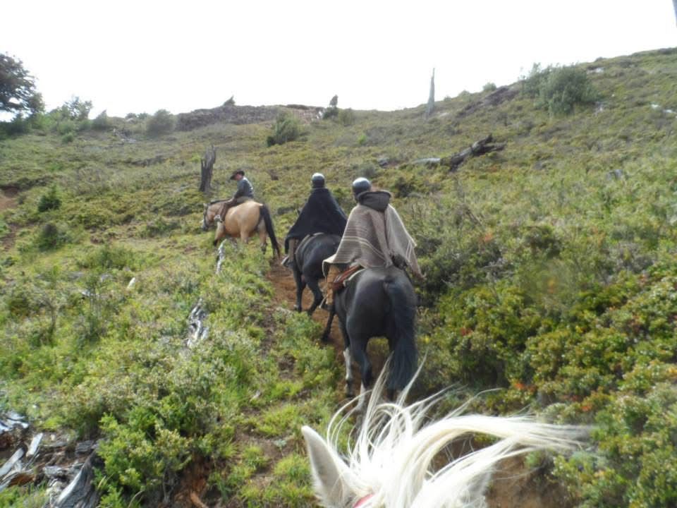 Naturaleza Chile